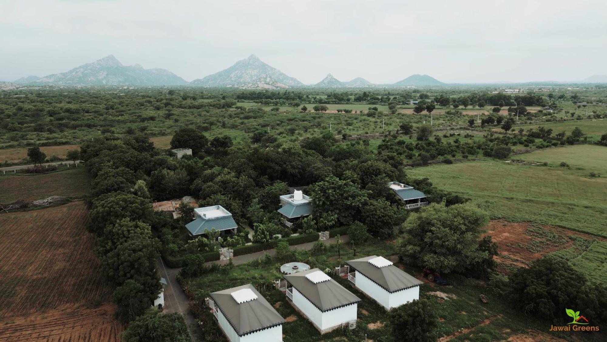 Jawai Greens Jawai Bandh Bagian luar foto
