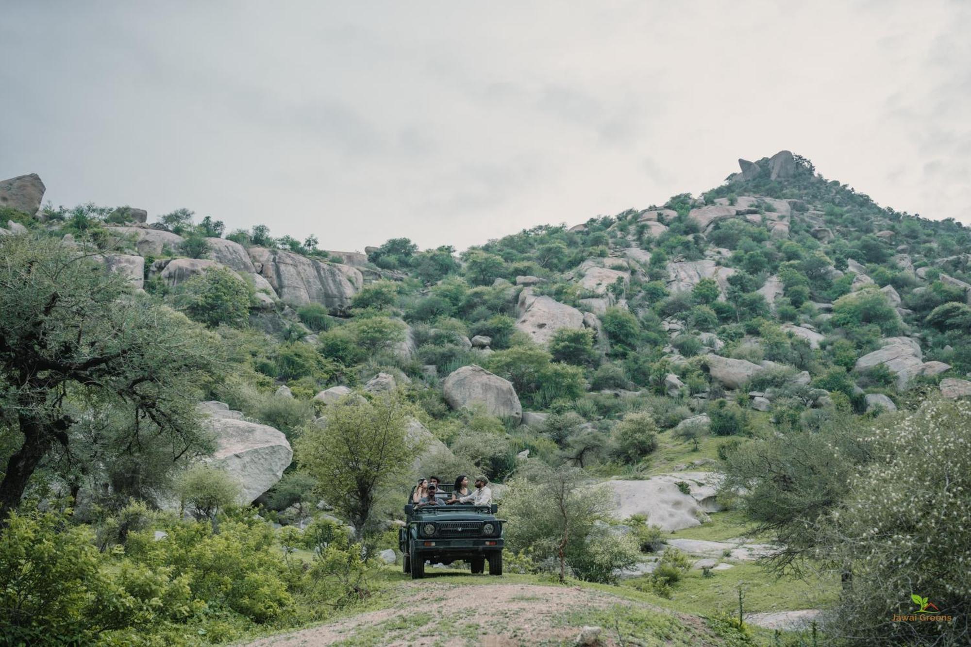 Jawai Greens Jawai Bandh Bagian luar foto