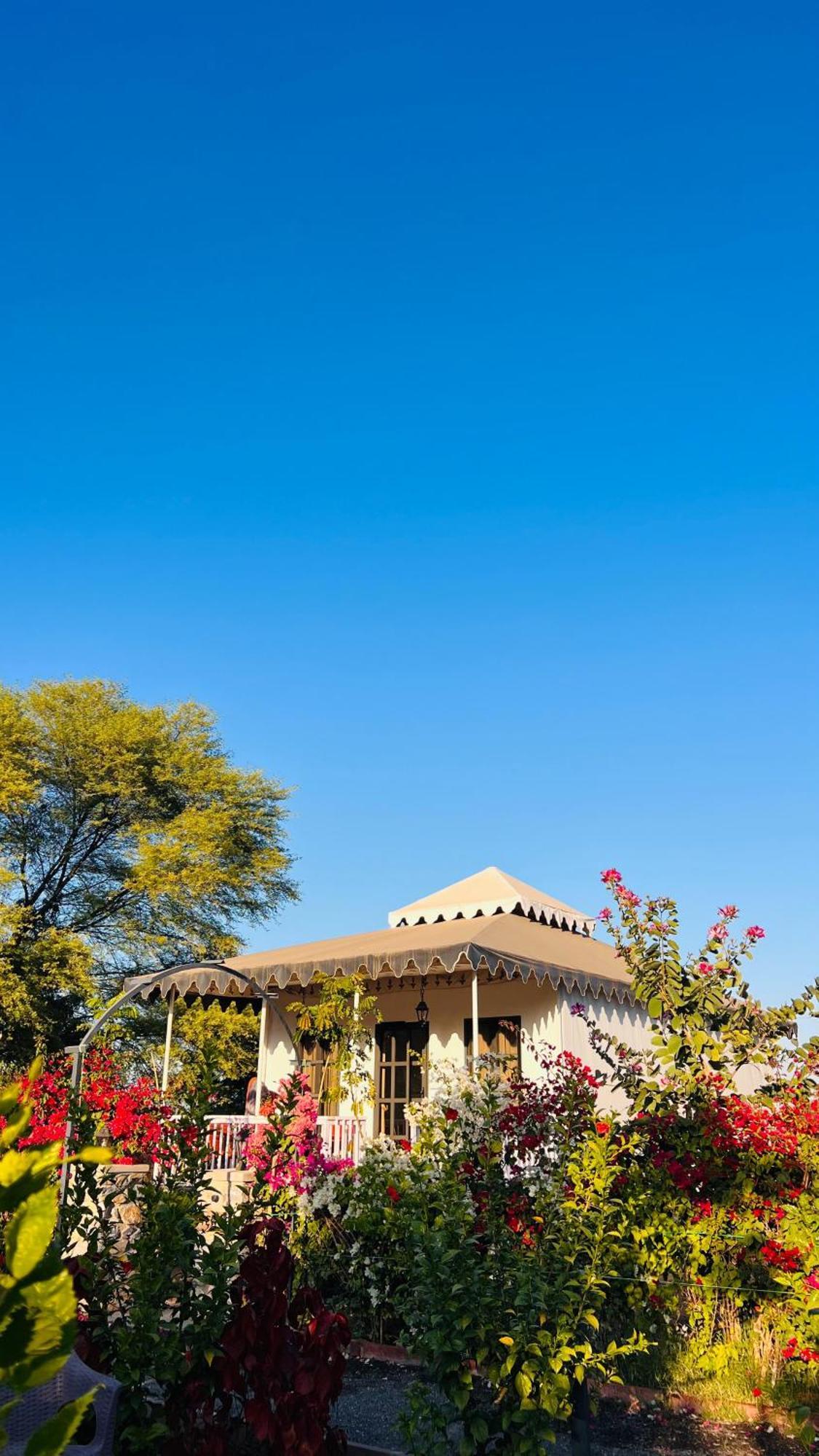 Jawai Greens Jawai Bandh Bagian luar foto